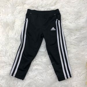 Adidas Track Pants for Toddler